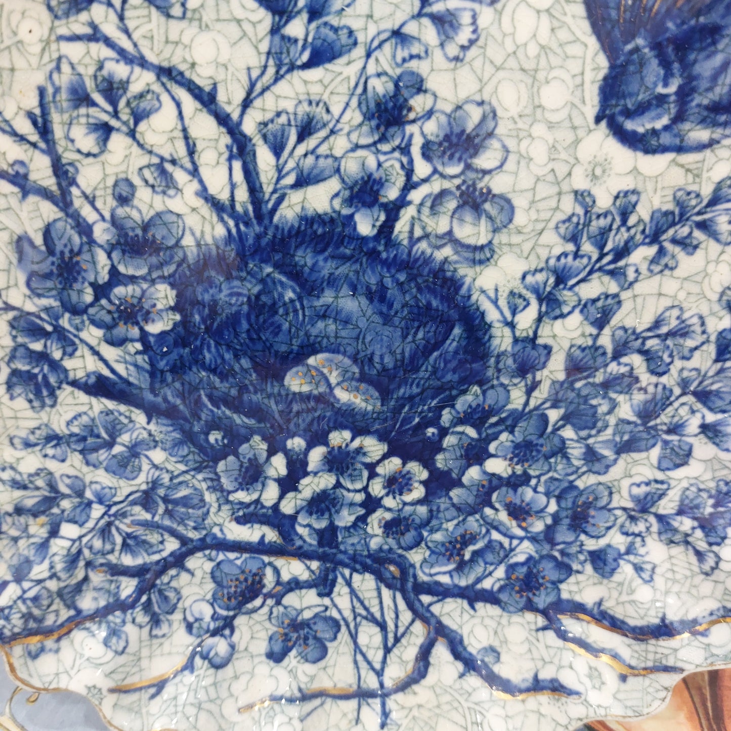 Stunning Antique Chinoiserie Flow Plate with a Bird & Nest Design, Gold Gilt Rim