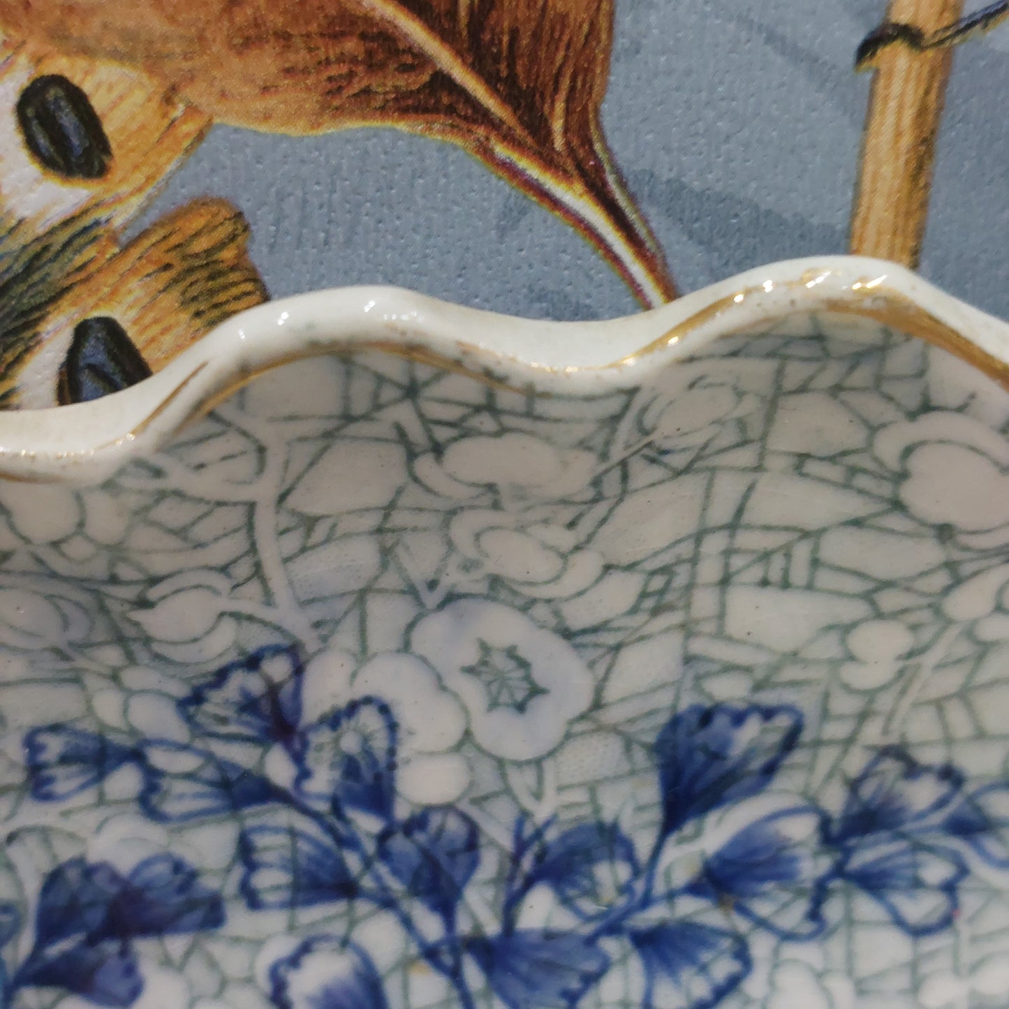 Stunning Antique Chinoiserie Flow Plate with a Bird & Nest Design, Gold Gilt Rim